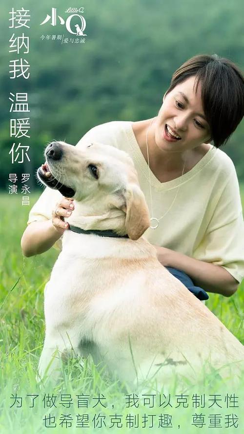 伯利圣经学院Scienceandengineeringdegreecertificate